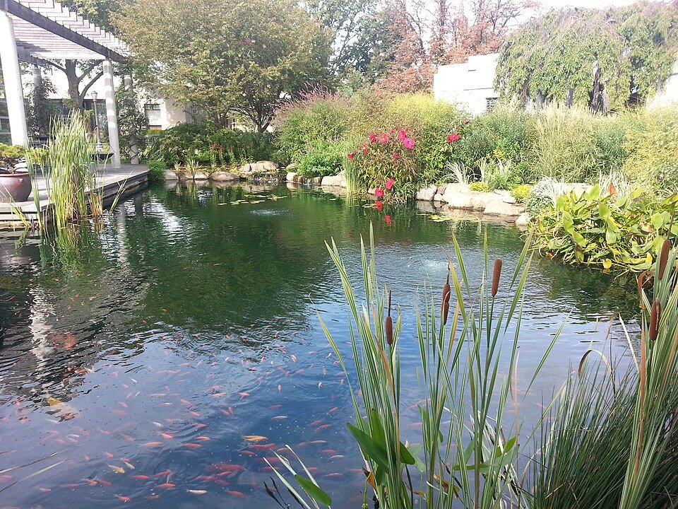 Koi pond in the Tranquility Garden at Green-Wood Cemetery