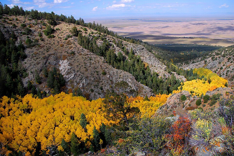 Golden aspens on a mountain slope, with the dune field far below in the valley