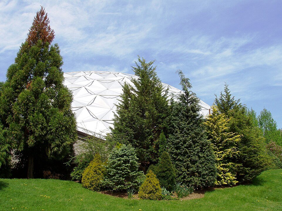 White geodesic dome of Dinosaur State Park rising behind conifers on a lawn