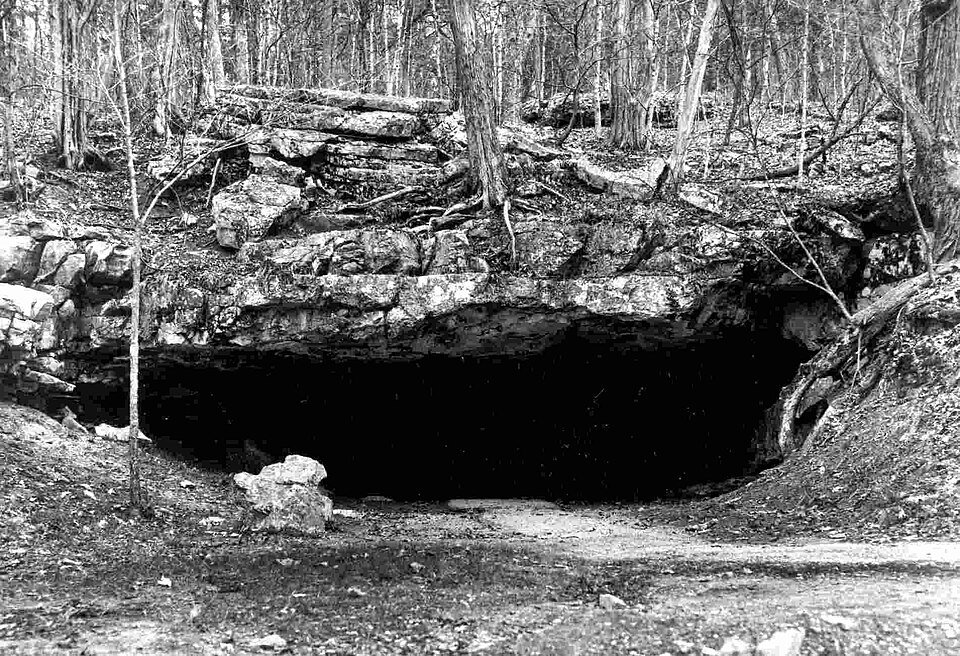 Wooded hillside and rock overhang at a cave entrance in the Wyandotte area, in a black-and-white photograph