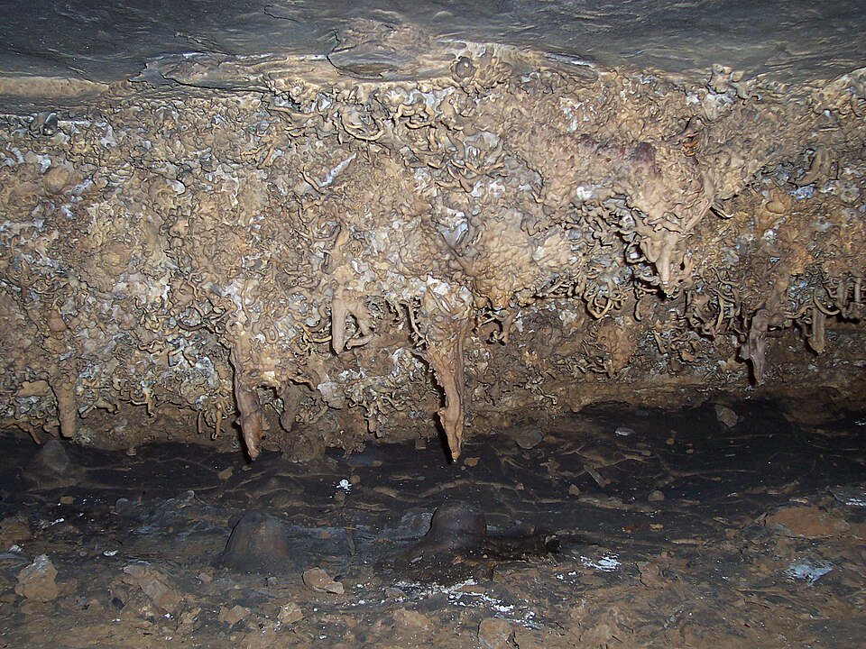 Dense mineral formations hanging from the ceiling inside Wyandotte Cave