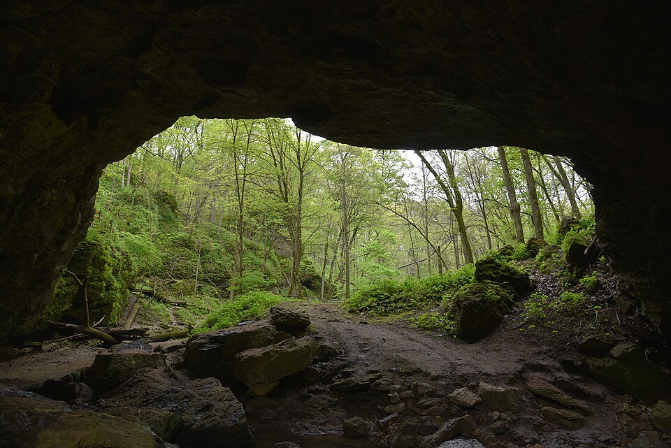 Vista desde el interior de la gran entrada de una cueva hacia el valle arbolado en Maquoketa Caves State Park