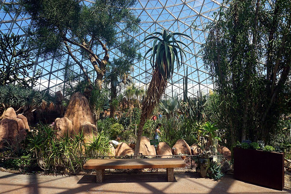 Succulents and desert plants among rock formations under the glass of the Desert Dome