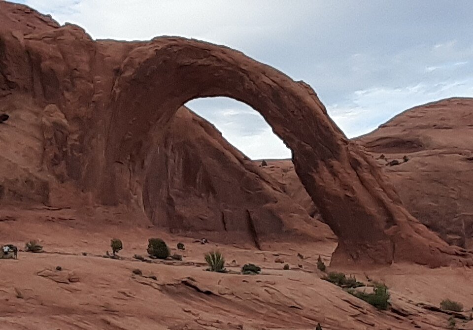 Corona Arch from a distance, with scrub and slickrock below