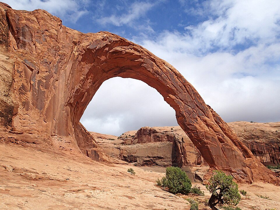 Corona Arch framed by clouds, with a small tree in the foreground