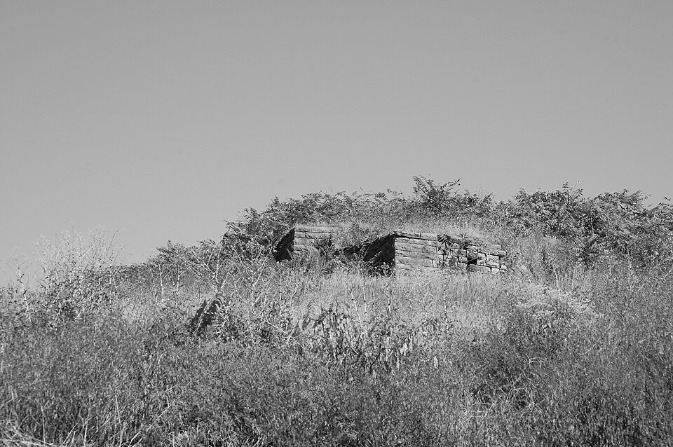 Fort Negley