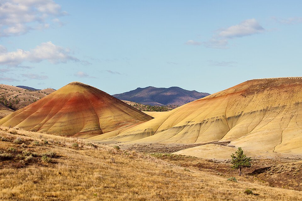 Rounded Painted Hills striped in red and yellow, with a lone pine and distant ridges under a blue sky