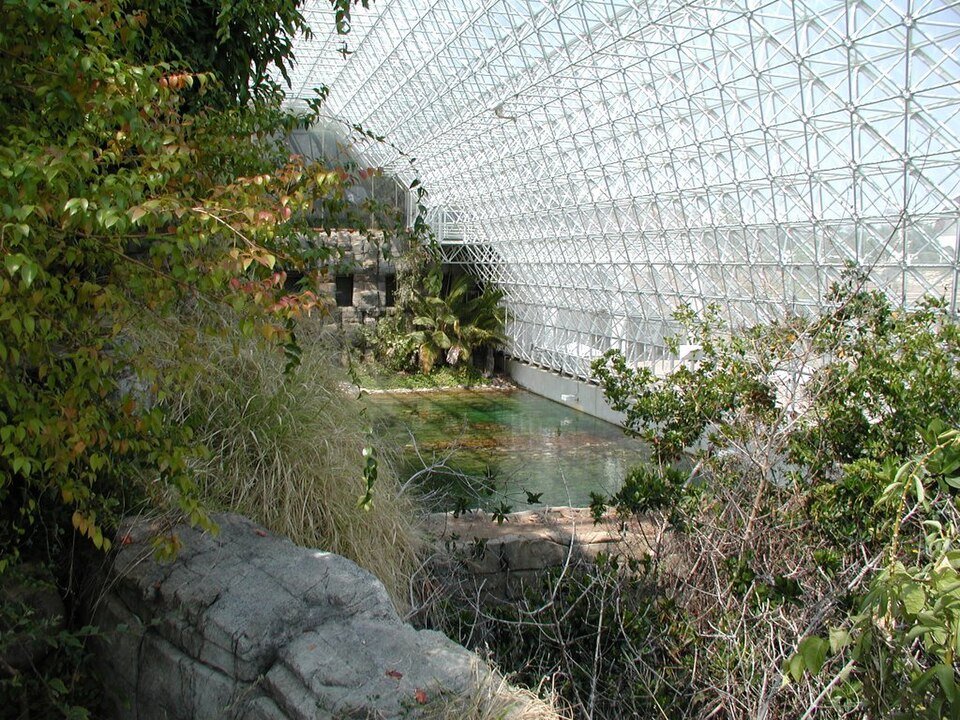A pond among plants and rock beneath the glass-and-steel space frame, seen from inside