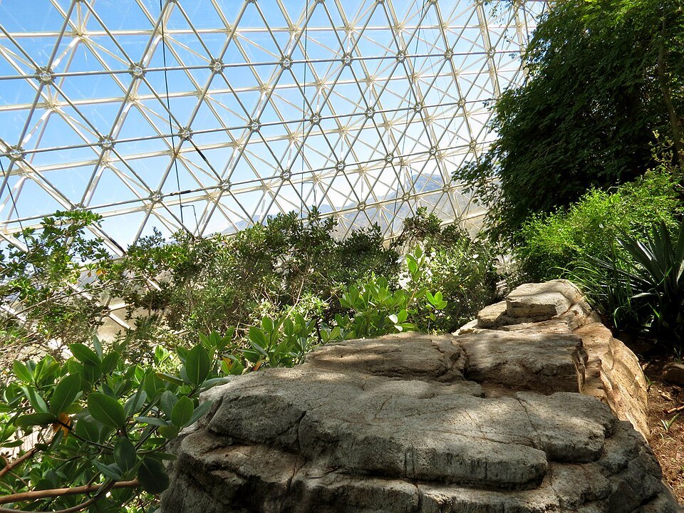 Mangrove-type plants and a rock outcrop under the triangular glass framework