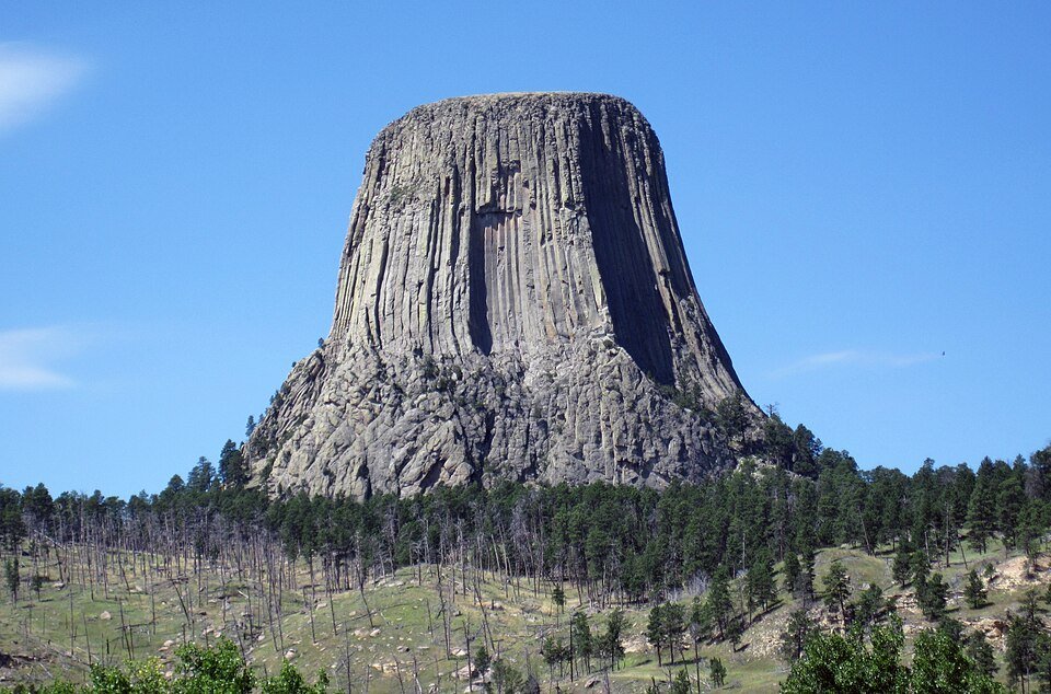 Devils Tower, a rock tower with vertical columns, rising above a pine forest and an open slope in Wyoming