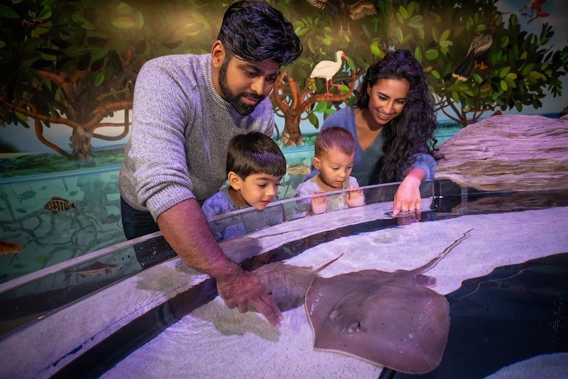 Aquarium of Niagara